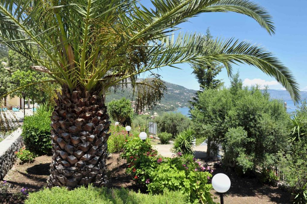 BBB - Barbati Blick Bungalows Zimmer foto